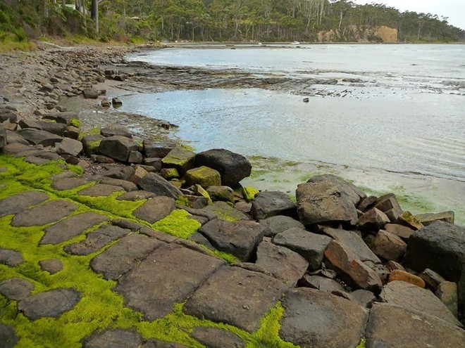 Vỉa hè lát đá ngoạn mục ở hòn đảo Tasmania, Úc